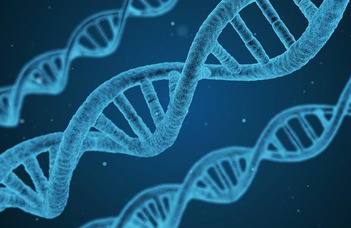 A genomi mutációs mintázatok felhasználhatósága a daganatos betegségek diagnosztikájának és kezelésének javítására